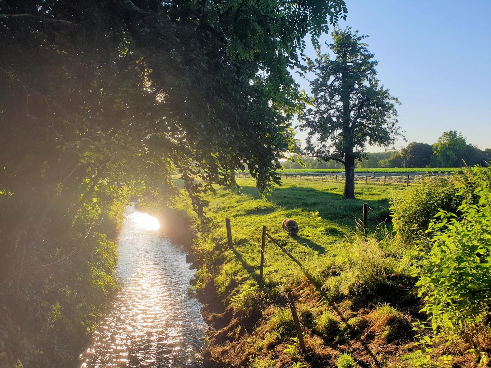 Meschermolen 9 Eksteriør bilde