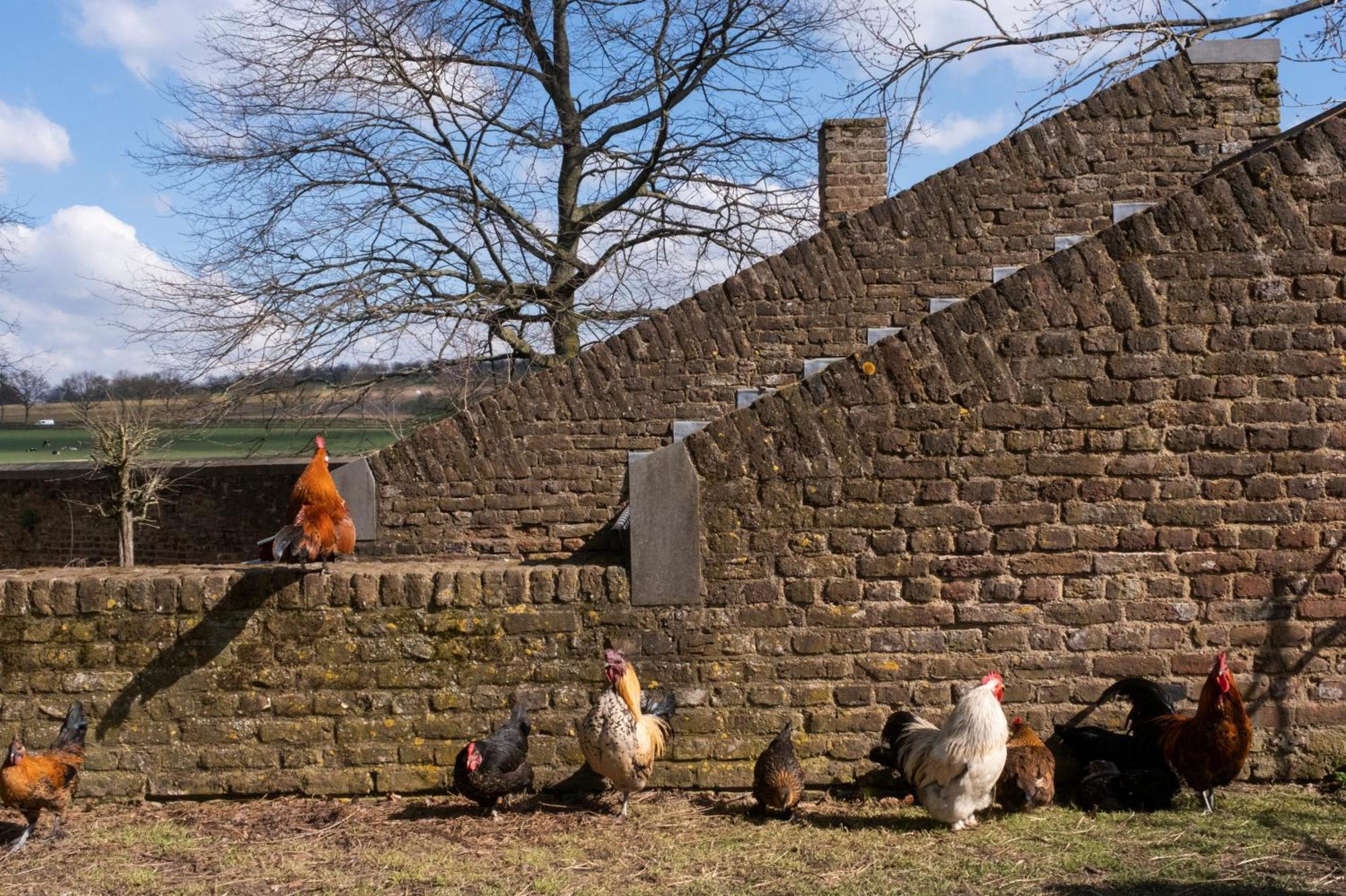 Meschermolen 9 Eksteriør bilde