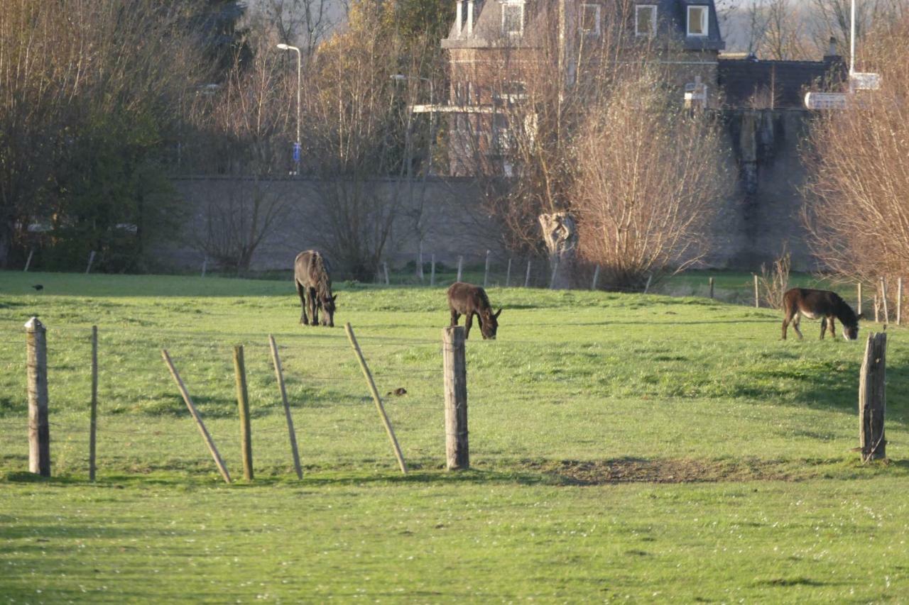 Meschermolen 9 Eksteriør bilde